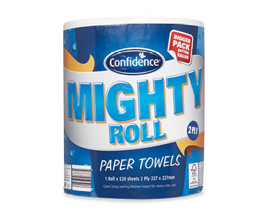 Bulk Paper Towels 2ply