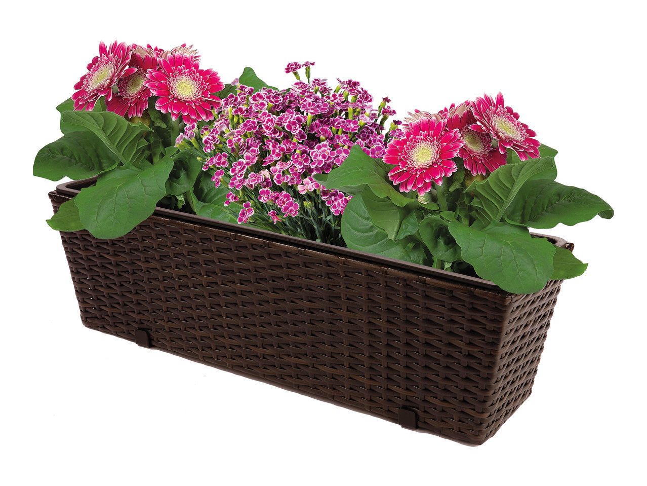 Florabest Wicker Balcony Flower Box1