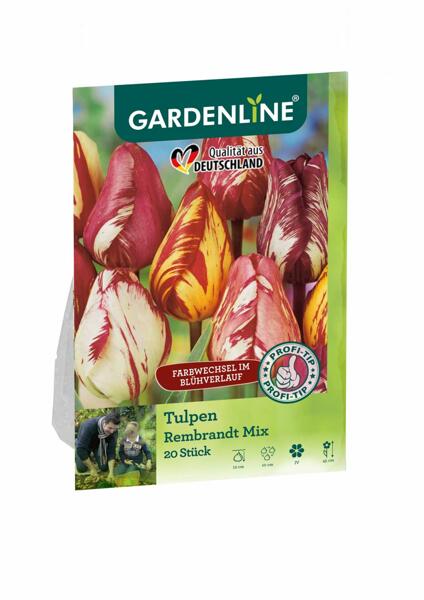 GARDENLINE(R) Frühlingsblumenzwiebeln*
