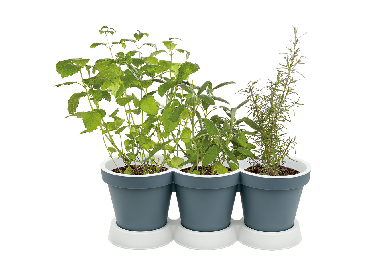 Florabest 3-in-1 Herb Pot1