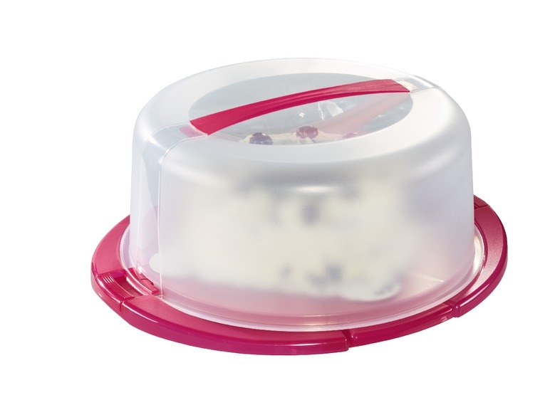 Contenitore icebox per snack/ contenitore per torte/contenitore per pic-nic
