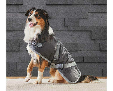 Dog Jacket – Medium or Large