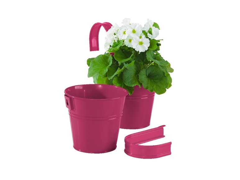 Planter with Hooks