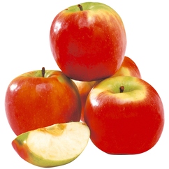 Pommes bicolores "Corail"
