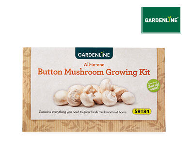 Button Mushroom Growing Kit