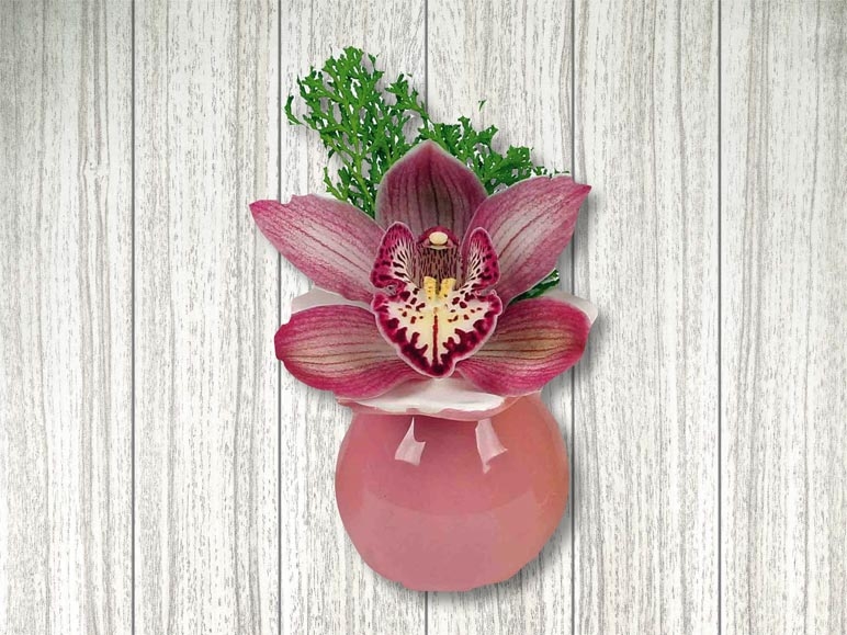 Fleur de cymbidium dans un vase en forme d'étoile (dés 10.12.)