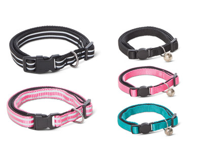 Heart to Tail Padded Pet Collars