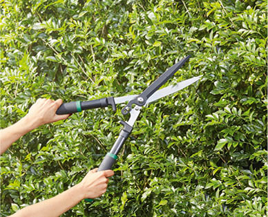 Loppers or Hedge Shears