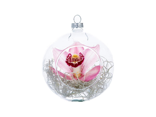 Christmas Orchid Bauble