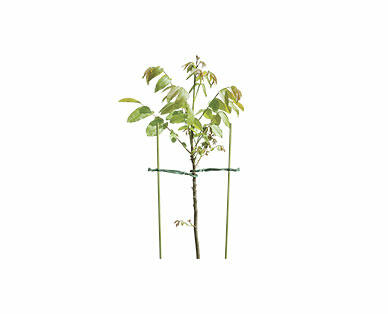Gardenline 4-Pack Plant Supports