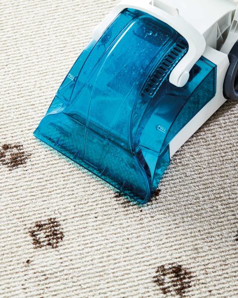 Easy Home Carpet Cleaner