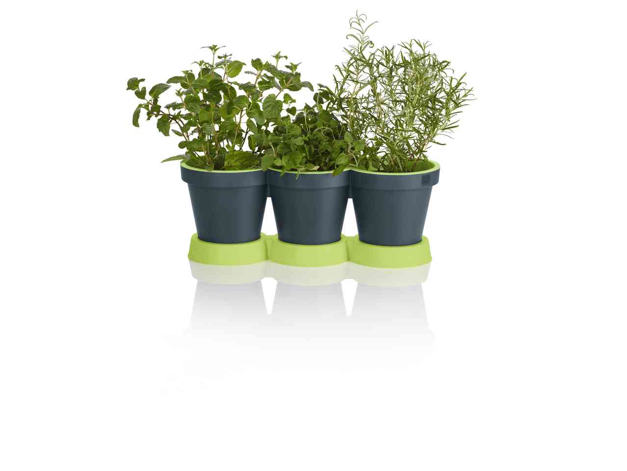 Triple Pot Set for Herbs