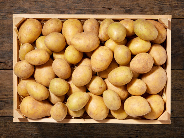 Pommes de terre nouvelles bio