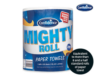 Bulk Paper Towels 2ply