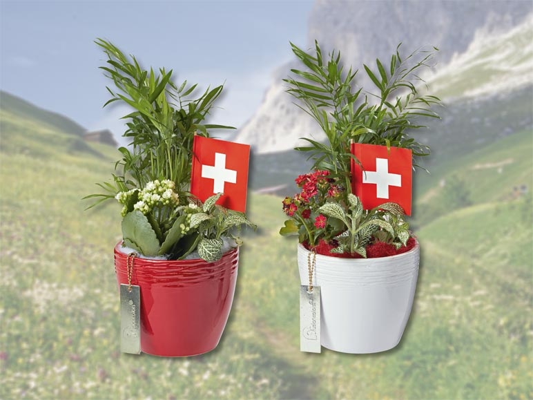 Pot de plantes avec fanion suisse (dès 28.7.)