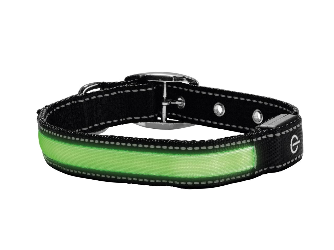 Zoofari LED Dog Collar or Glow Band1