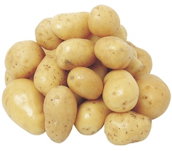 Pommes de terre de consommation "Agata"