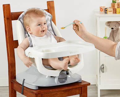 TOMY The First Years Portable Feeding Chair