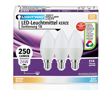 LIGHTWAY(R) LED-Leuchtmittel, nicht dimmbar, 2er-/3er-Set