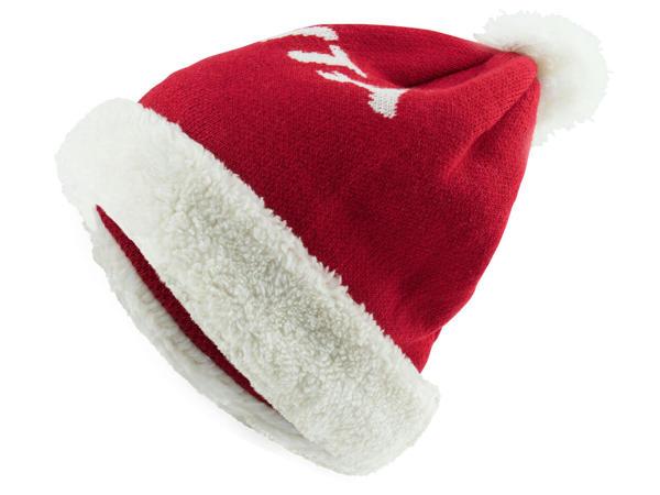 Adult Christmas Hat
