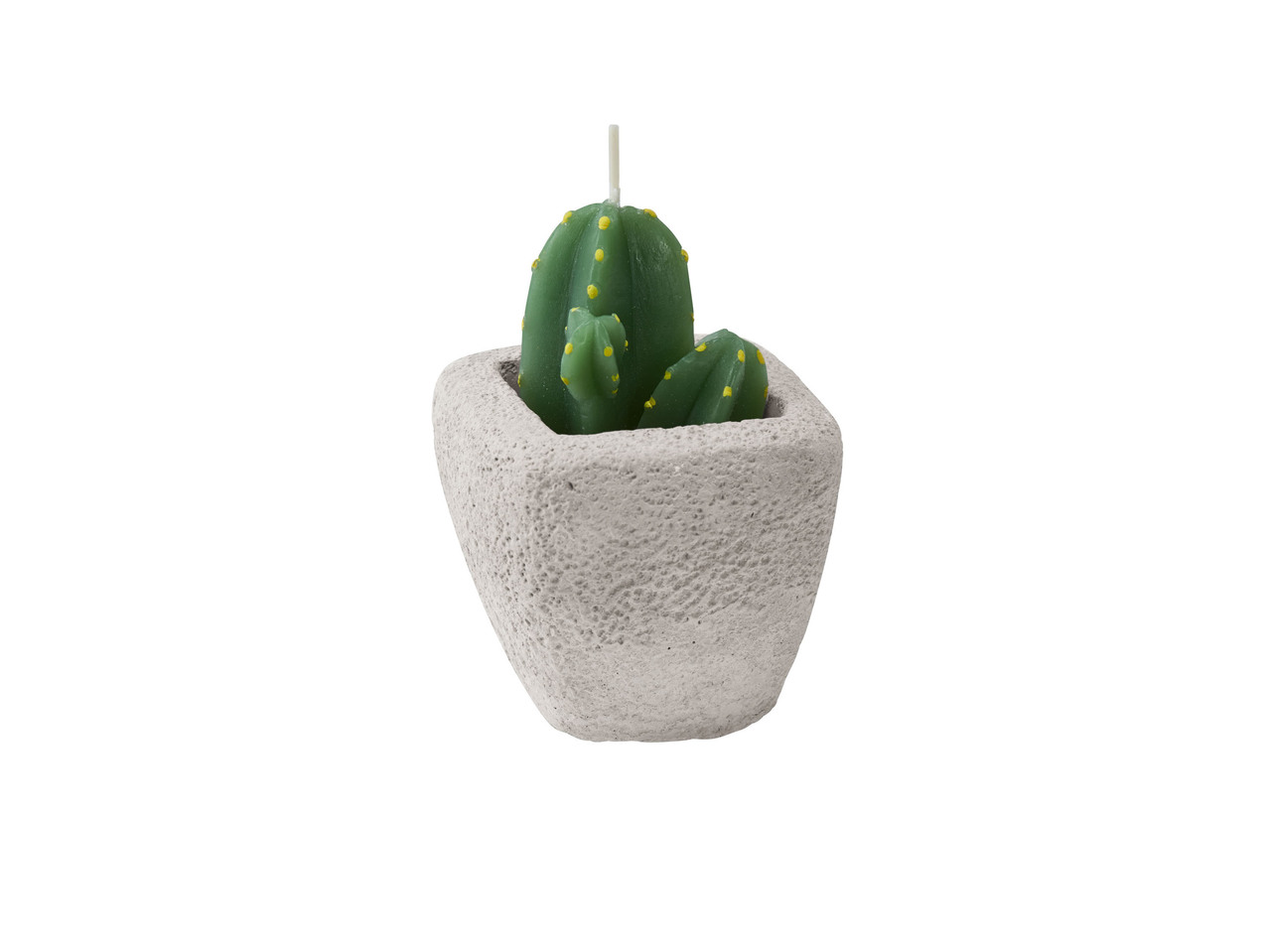 Candela cactus con vasetto