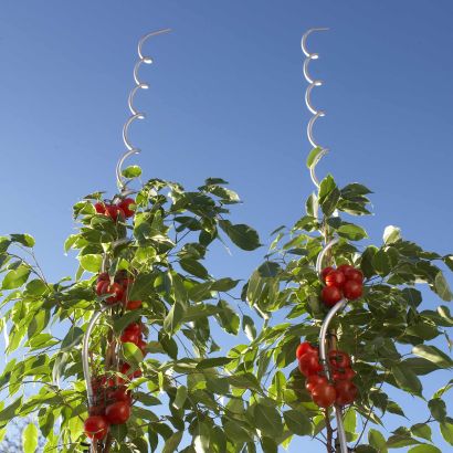 Tomaten- of plantenstokken