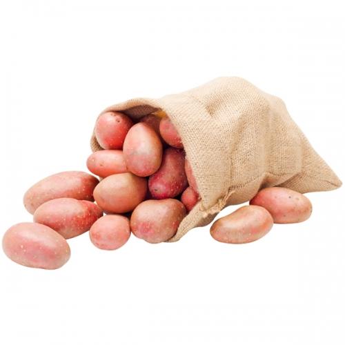 Pommes de terre primeur "Chérie"