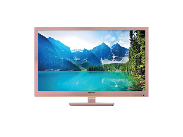 24" LCD TV WITH BUILT IN DVD-PLAYER