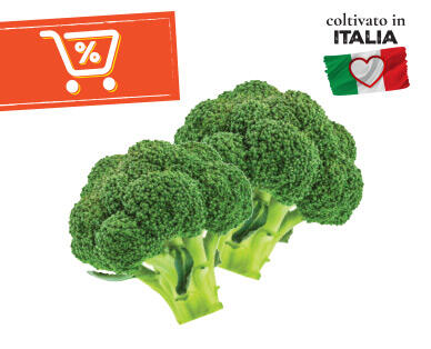 NATURA FELICE 
 Broccoli BIO 500 g