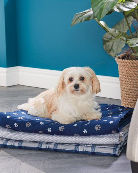 Blue Check Cosy Pet Blanket