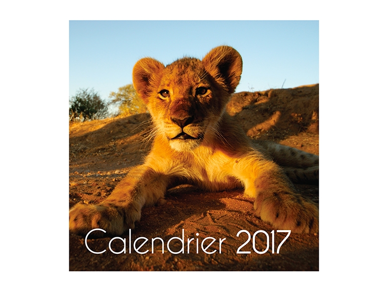 Calendrier agenda 2017