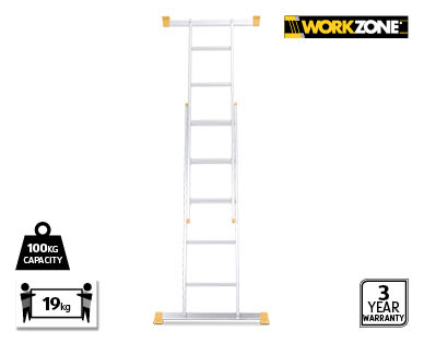 Scaffold and Ladder System