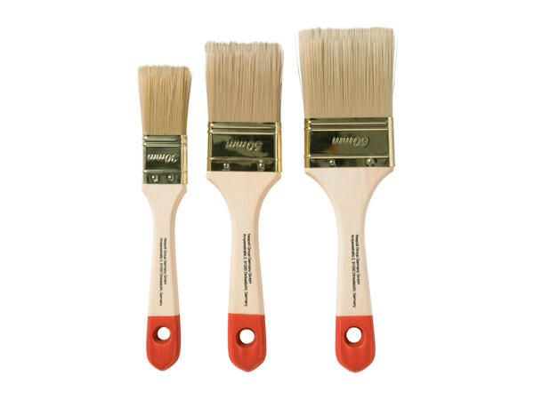 Parkside Paint Brush Set