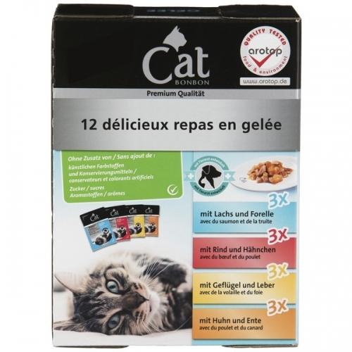 12 repas mijotés pour chat