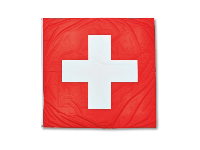 Fahne mit 2 Ösen (ab 9. Juli)