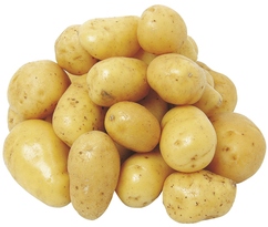 Pommes de terre de consommation "Toscana"