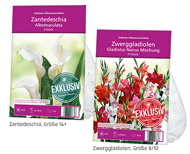 GARDENLINE(R) Exklusive Frühjahrs-Blumenzwiebeln