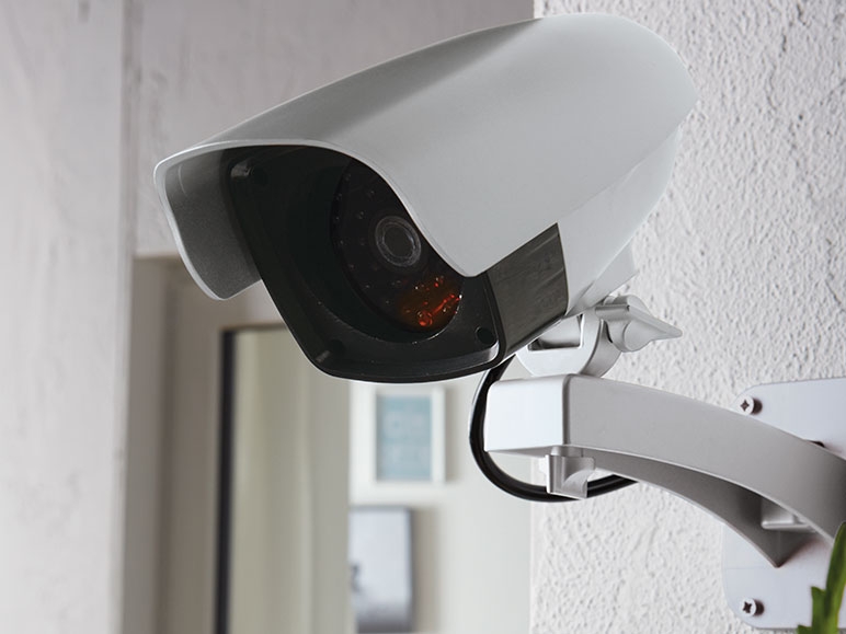 Outdoor Imitation Surveillance Camera