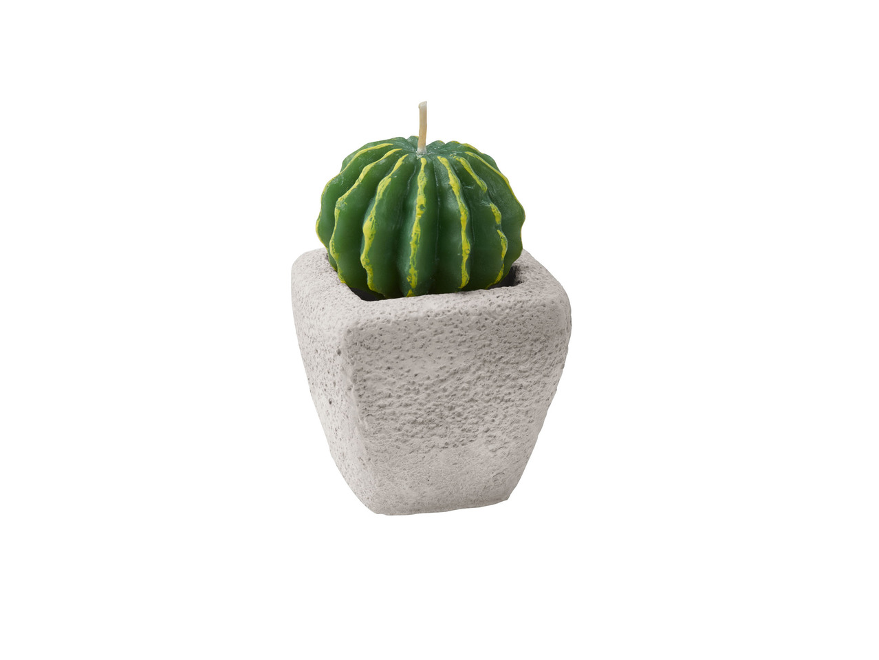 Candela cactus con vasetto