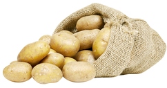 Pommes de terre de consommation "Annabelle"