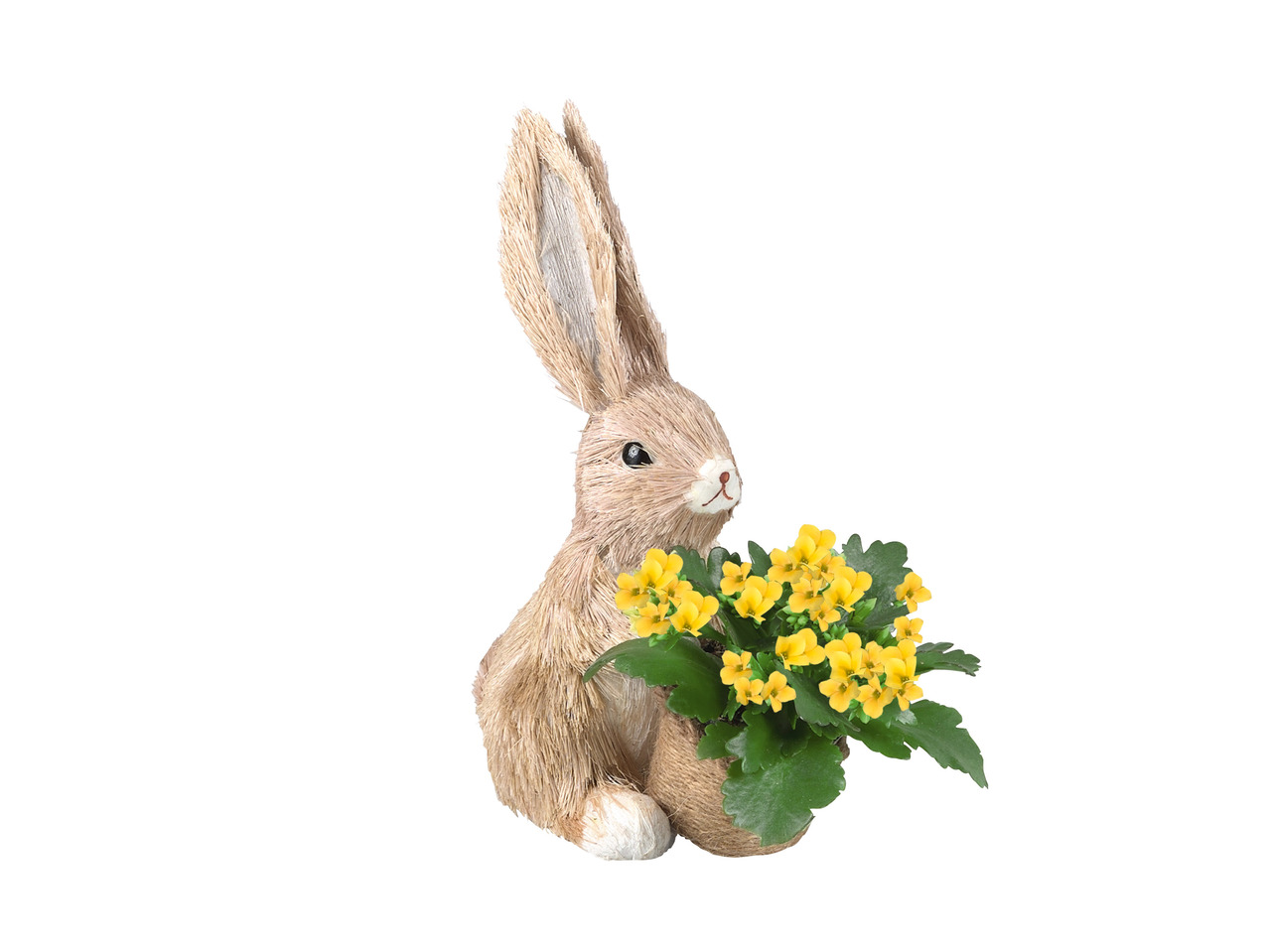 Easter Rabbit1