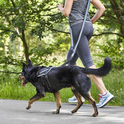 Laisse pour chien pour le jogging