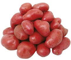 Pommes de terre "Chérie"