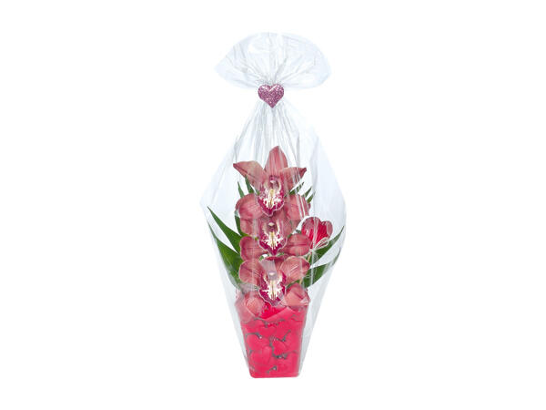 Cut Cymbidium Orchid, composition with 3 flowers