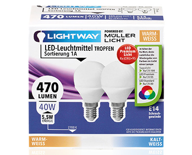 LIGHTWAY(R) LED-Leuchtmittel, nicht dimmbar, 2er-Set