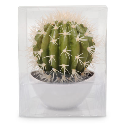 Cactus décoratif