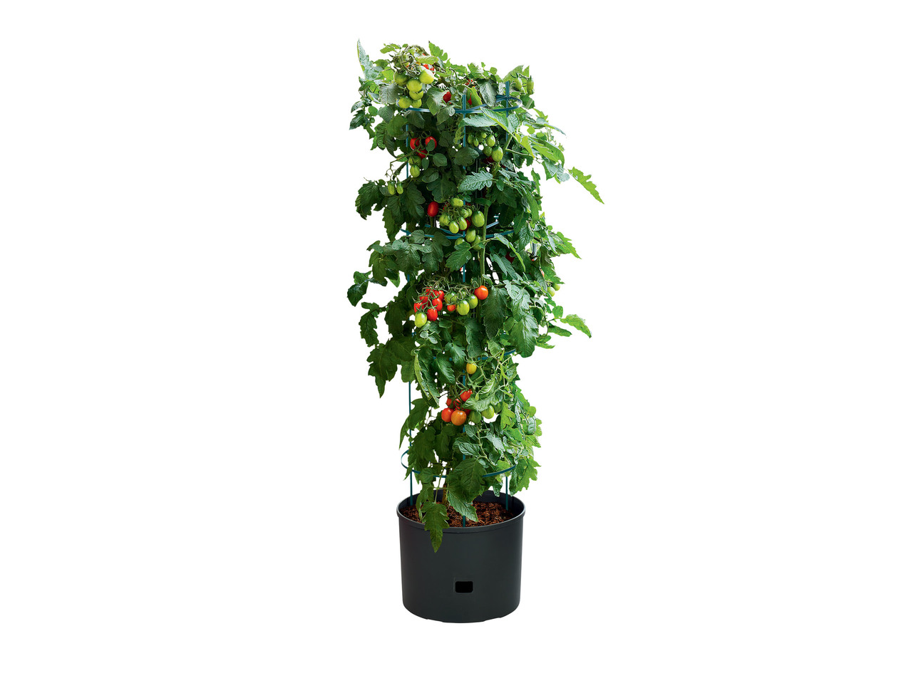 FLORABEST(R) Vaso para Plantar Tomates 20 L