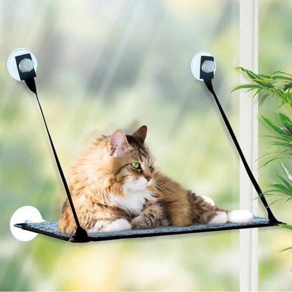 Hamac ou chaise longue pour chats