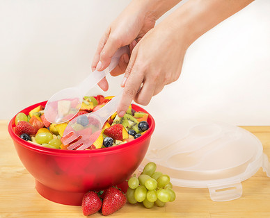 Crofton Salad Bowl With Ice Pack
