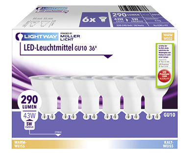 LIGHTWAY(R) LED-Leuchtmittel, 6er-Set